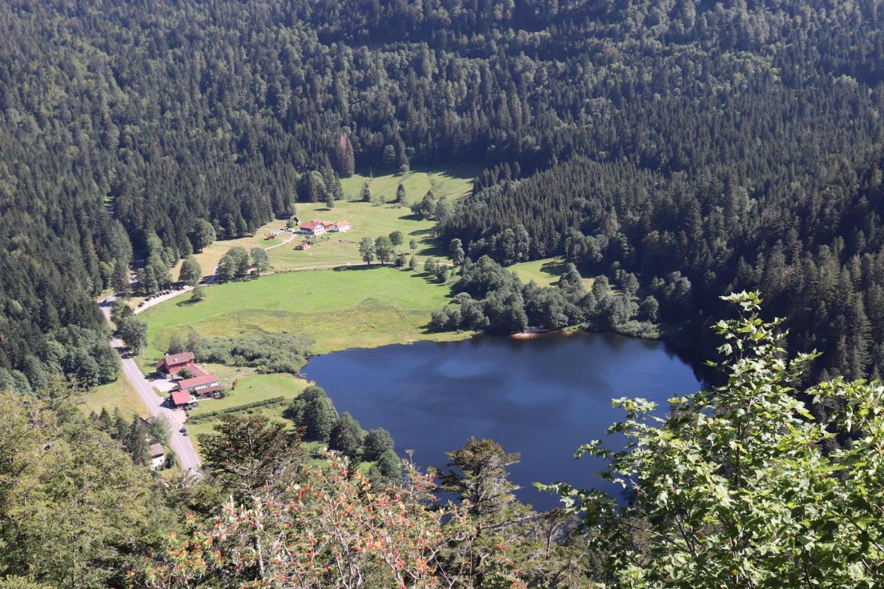 Villa le Tramway Gérardmer Extérieur photo